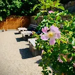 Panorama Pensión