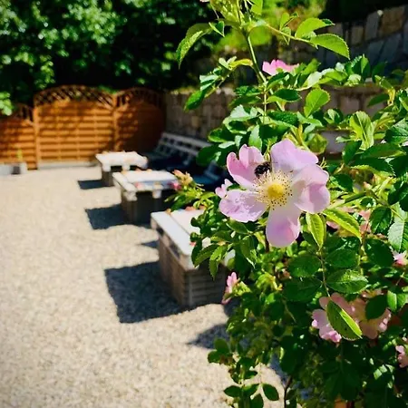 Panorama Guest house